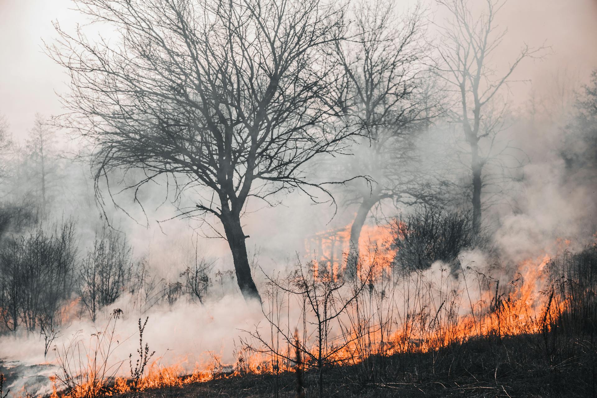 BOLLETTINO DI PREVISIONE DI PERICOLO INCENDIO PER MARTEDÌ 12/08/2025