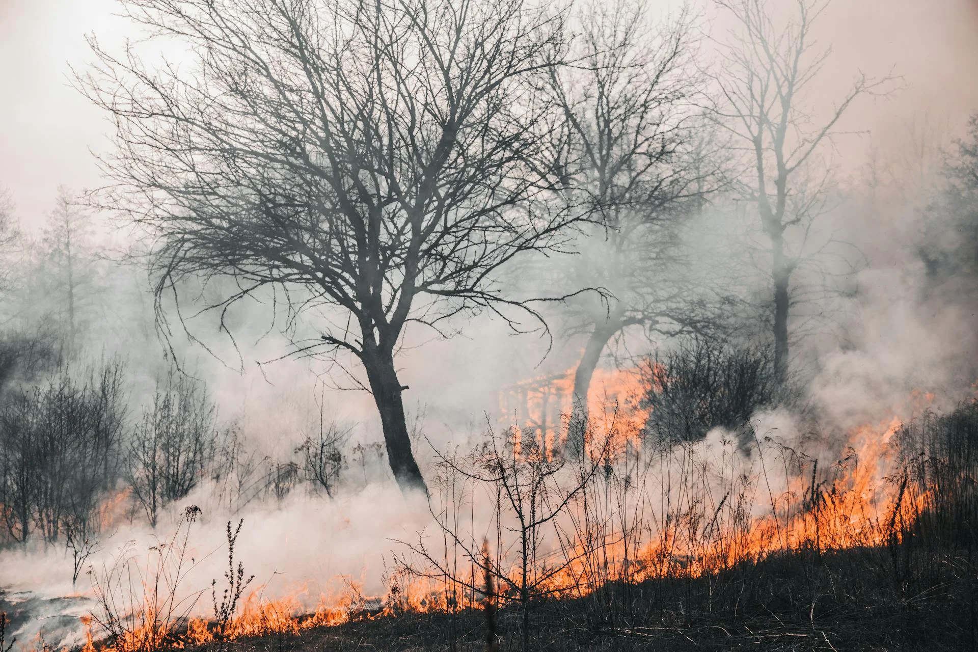 Bollettino di previsione di pericolo incendio per martedÌ 12/08/2025