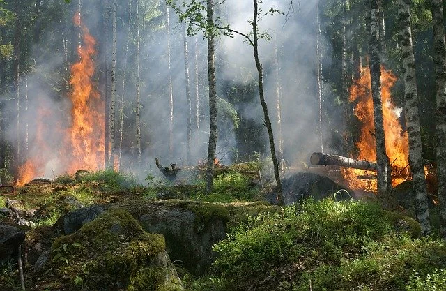 BOLLETTINO PERICOLO INCENDI MARTEDI 8 luglio 2025