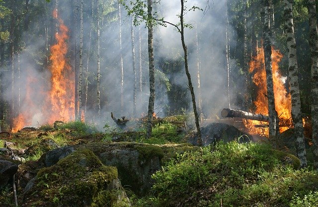 BOLLETTINO PERICOLO INCENDI MARTEDI 8 luglio 2025