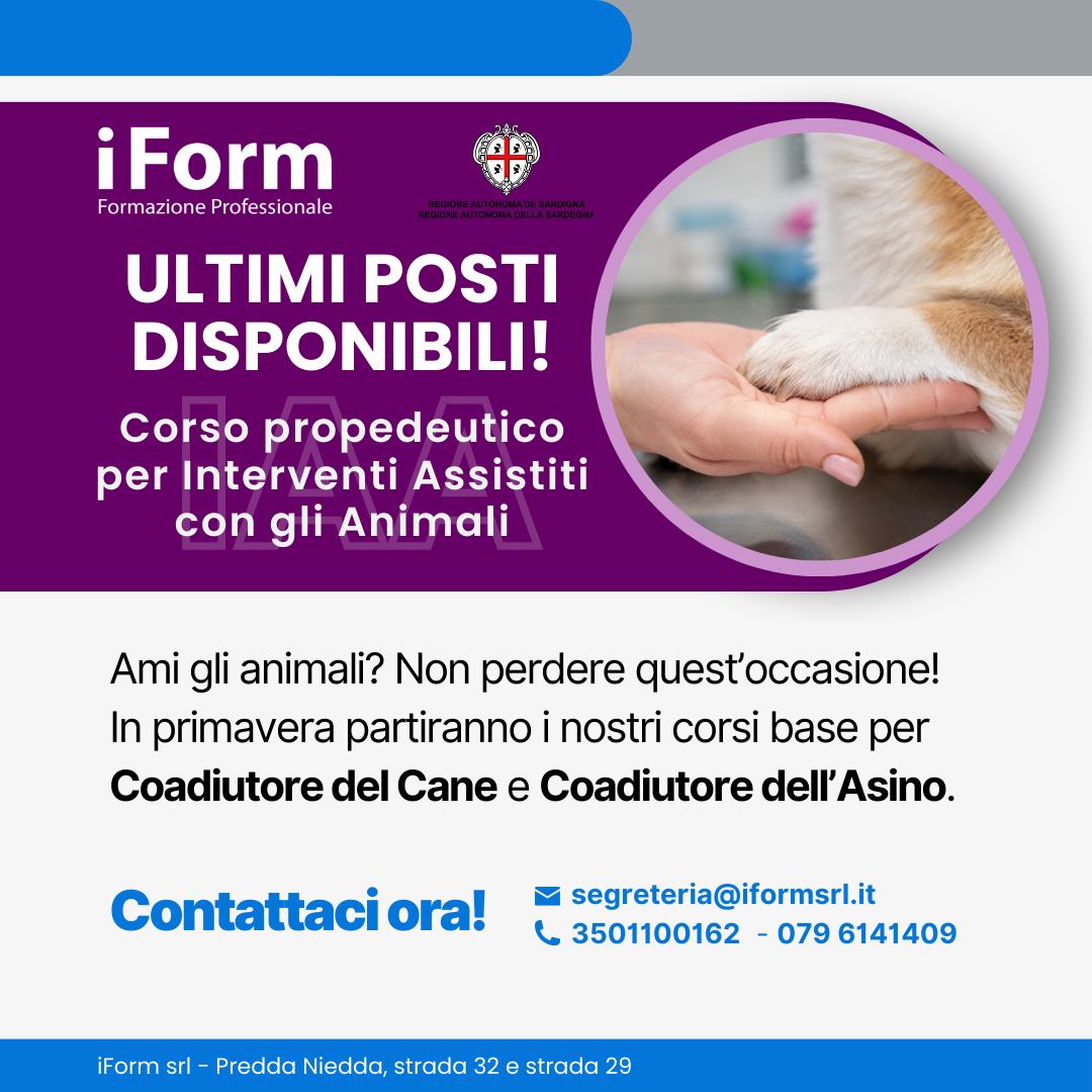 Locandina Corsi IAA 1