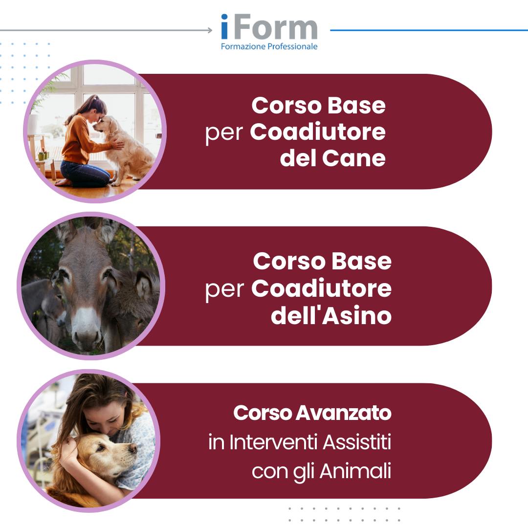 Locandina Corsi IAA 2