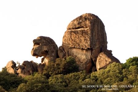 'Su nodu 'e su malune' nel monte Gulana (foto Sisinnio Puddu)